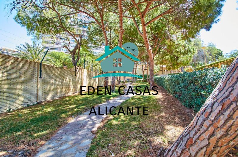 Foto 11c57a76-425b-4423-b3b4-0e80a88cb1f8. Piccolo appartamento in avenida costa blanca 22 in Alicante