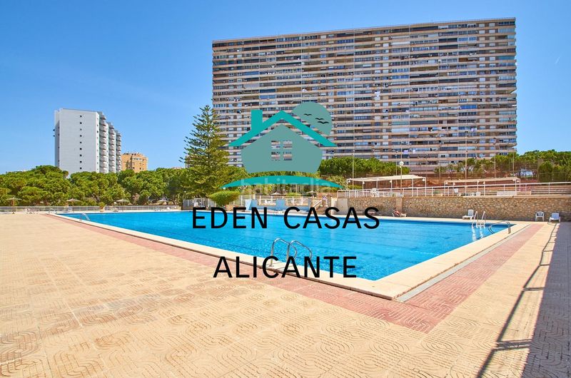 Foto 69f48815-3b65-4f69-8a0e-cc6b2a0b7693. Piccolo appartamento in avenida costa blanca 22 in Alicante
