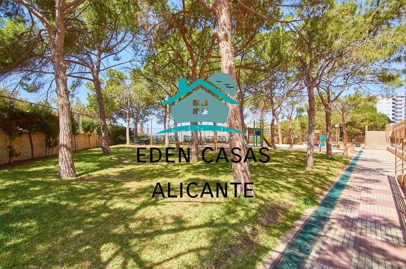 Foto 7e1c41a3-0079-4f51-9b68-3e2466bb3c1b. Piccolo appartamento in avenida costa blanca 22 in Alicante
