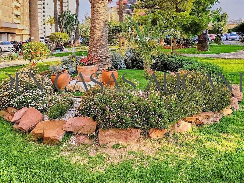 Foto b7455483-a502-4001-b9bd-8a6614b57e0d. Piccolo appartamento in avenida costa blanca 22 in Alicante