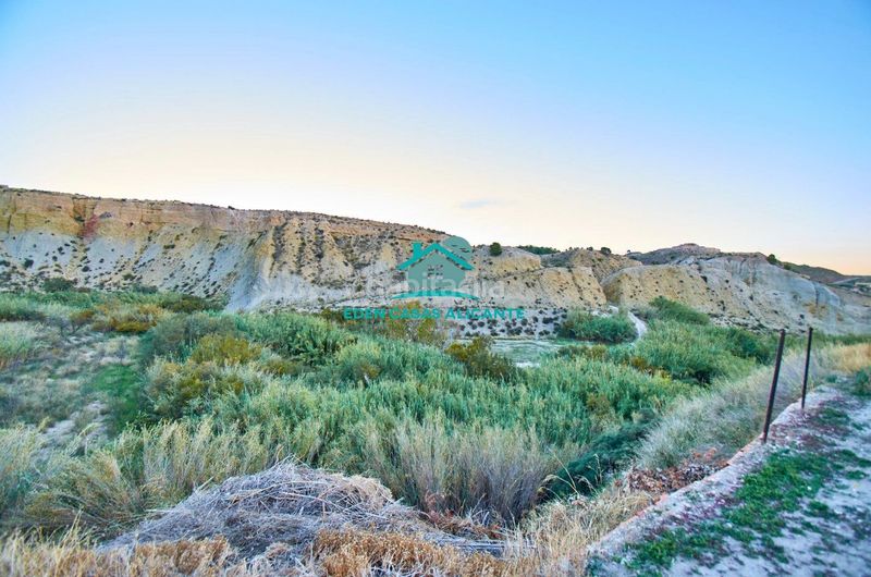 Foto 2661914b-5fcb-41c3-8aed-80d8c51d804f. Finca rústica a partida felíu 50 a Xixona