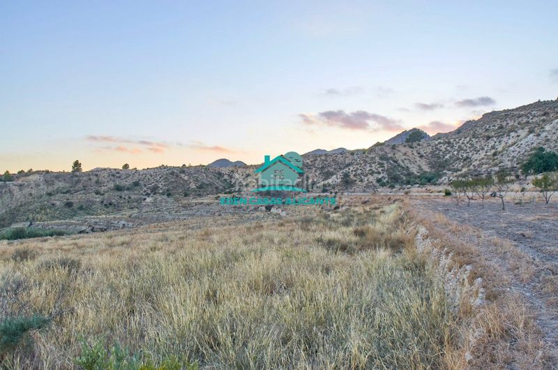 Foto 30f8b403-d6b7-4214-ade1-a7fd09a10cb5. Finca rústica a partida felíu 50 a Xixona