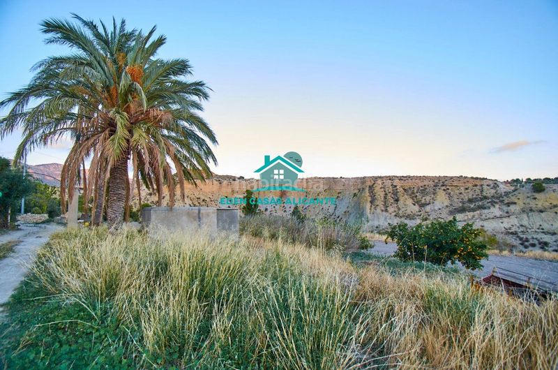 Foto 585af8bf-e60c-4cbd-85e4-166f20e633a4. Finca rústica a partida felíu 50 a Xixona