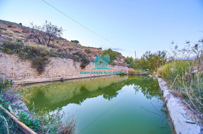 Foto 5b3213a6-793a-4f87-b204-68e68dc0ab54. Finca rústica a partida felíu 50 a Xixona