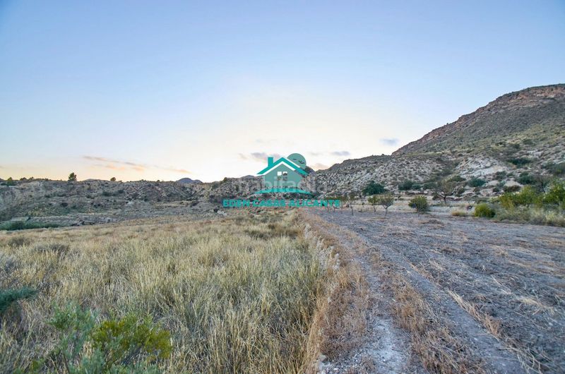 Foto 82a6b09a-8f22-449d-845c-39361380fc85. Finca rústica a partida felíu 50 a Xixona