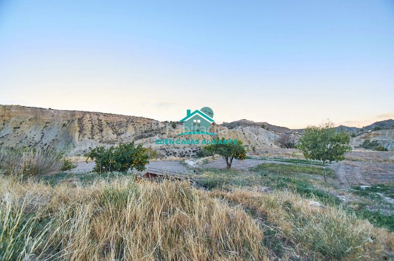 Foto 8f80f170-03da-4676-adbf-7fa6f813a5fa. Finca rústica a partida felíu 50 a Xixona