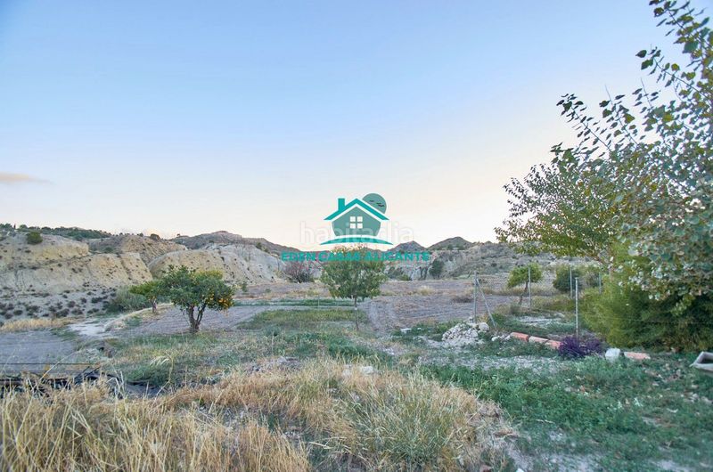 Foto a0e7352c-d8b6-49ba-8a7e-6167f9e7e9ff. Finca rústica a partida felíu 50 a Xixona