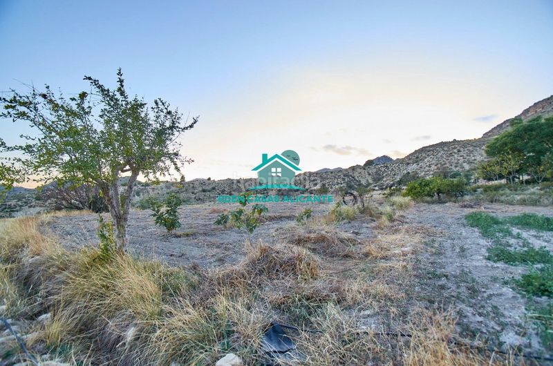 Foto d9420fe4-9765-4374-91e4-965d629d8f55. Finca rústica a partida felíu 50 a Xixona