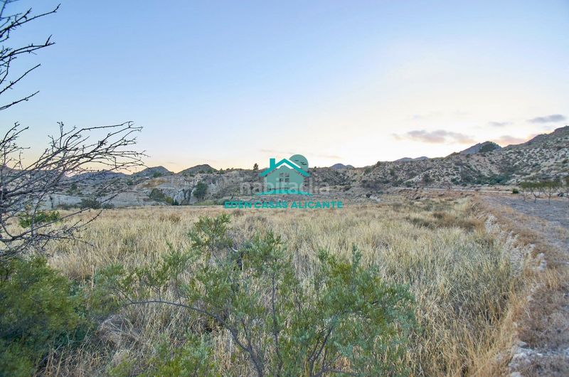 Foto fce9d872-73d3-45a1-8315-5fb00542b874. Finca rústica a partida felíu 50 a Xixona