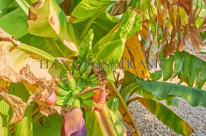 Foto 45440218-2d00-4990-b66e-f085f054432f. Chalet with heating parking in Valle del Sol Mutxamel