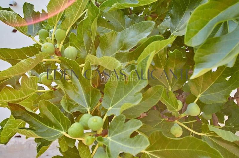 Foto 53222f7c-db2c-4080-8a99-54e04acc5c4f. Chalet with heating parking in Valle del Sol Mutxamel