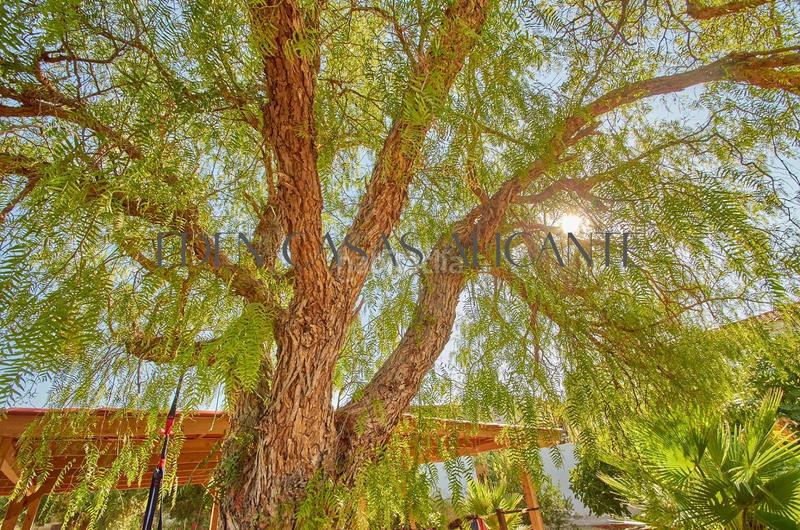 Foto d26dc607-fd4c-4612-8533-37f5d7692318. Chalet with heating parking in Valle del Sol Mutxamel