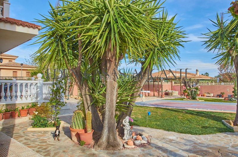 Foto ea0ac211-9d47-48fc-a121-ac706bc526f6. Xalet amb calefacció aparcament piscina a La Huerta Mutxamel