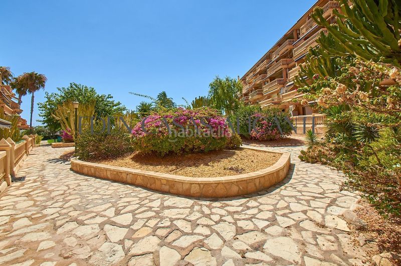 Foto cb8d7ee6-b745-4220-bd1f-d452695bc8f6. Pis amb calefacció aparcament piscina a Campello Playa Campello (el)