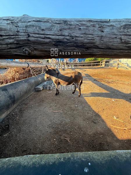 Foto 6f0a5f3a-28e0-412f-905e-f0bf1c58e927. Finca rústica a Gava Mar Gavà