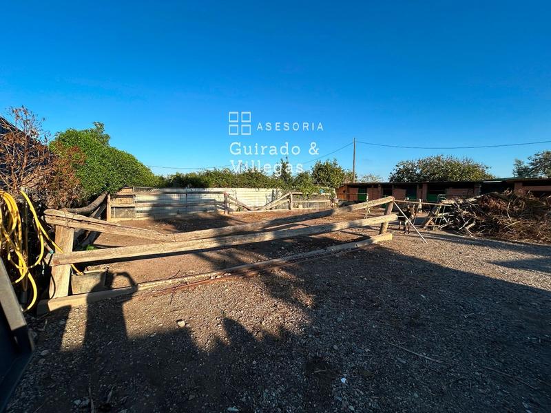 Foto b3394882-ea8e-4579-94f2-a8f5147f485f. Finca rústica a Gava Mar Gavà