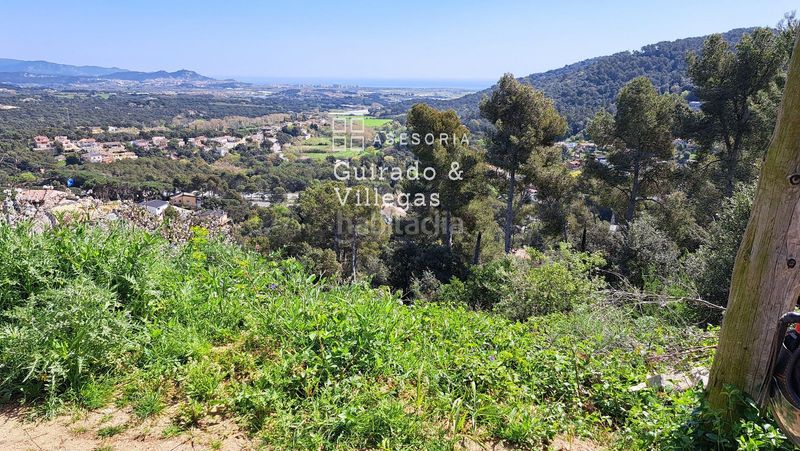 Foto bd56c389-7794-4c2d-ba97-57955220298d. Terreny residencial a Palafolls
