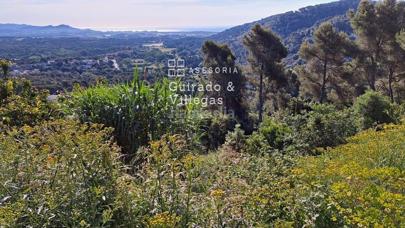 Foto dba134cf-1322-4e89-9f94-3b3248d77e4d. Terreny residencial a Palafolls