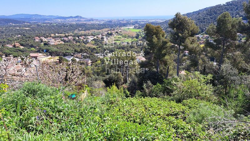 Foto e1b46fd9-ec0c-4179-9df1-fcb0ee3bc9fb. Terreny residencial a Palafolls
