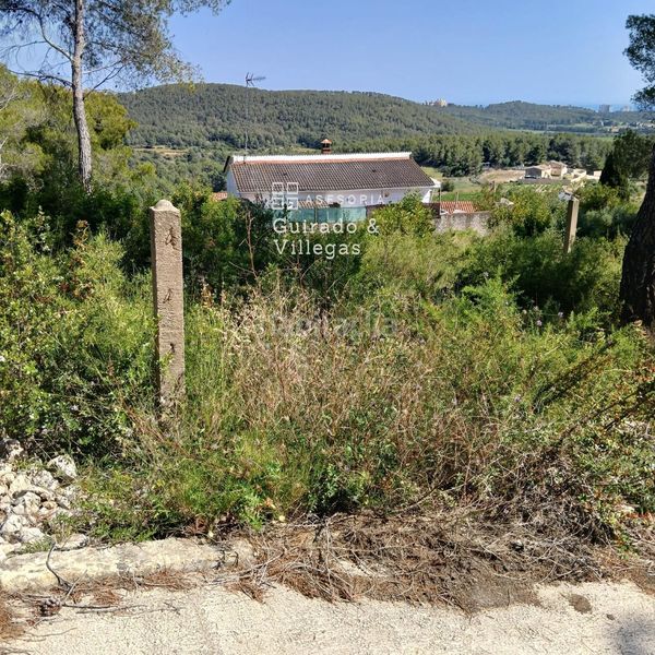 Foto 039c6d12-e7a1-46a9-b286-24a9daeea200. Terreny residencial a Can Lloses - Can Marcer Sant Pere de Ribes