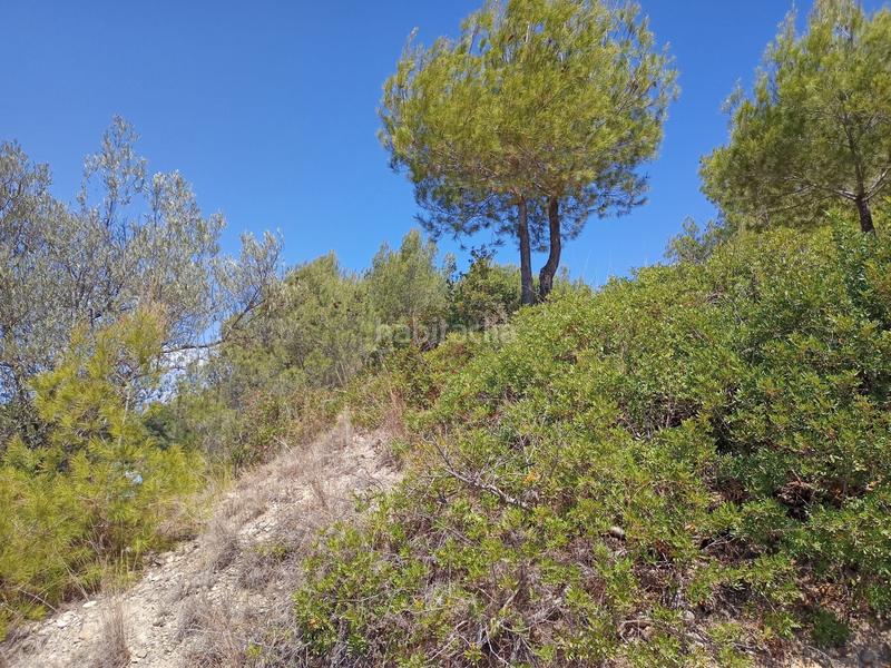 Foto ad7e39fc-9612-423c-bb5a-1b0fe19a082a. Terreny residencial a Olesa de Montserrat