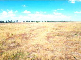 Propriété  Carretera 24231. Parcelas rusticas en chozas de abajo precio a consultar