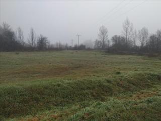 Propriété  Calle cembranos-cm. Terreno rustico en chozas de abajo precio a consultar