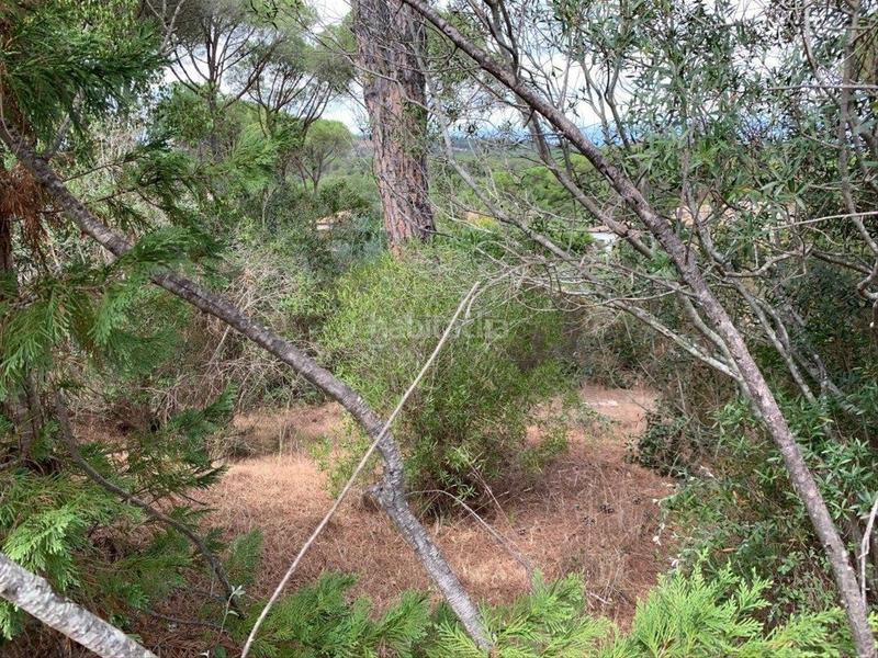 Foto 97da4532-2348-47a9-89ce-8ed987a30713. Terreno residencial parcela completamente llana en Santa Cristina d´Aro