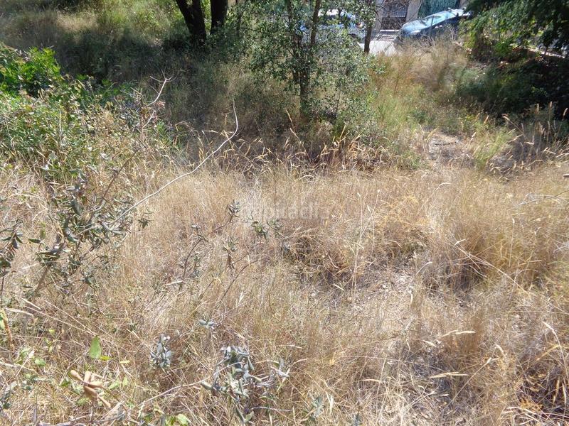 Foto 2a6c15ae-d696-4932-b2bc-b3276bfc03f8. Terreny residencial a Los Pinos-Politur Platja d´Aro