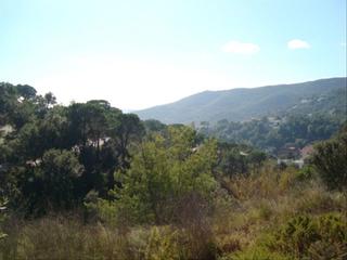 Terreny residencial a Poble. Vistas despejadas