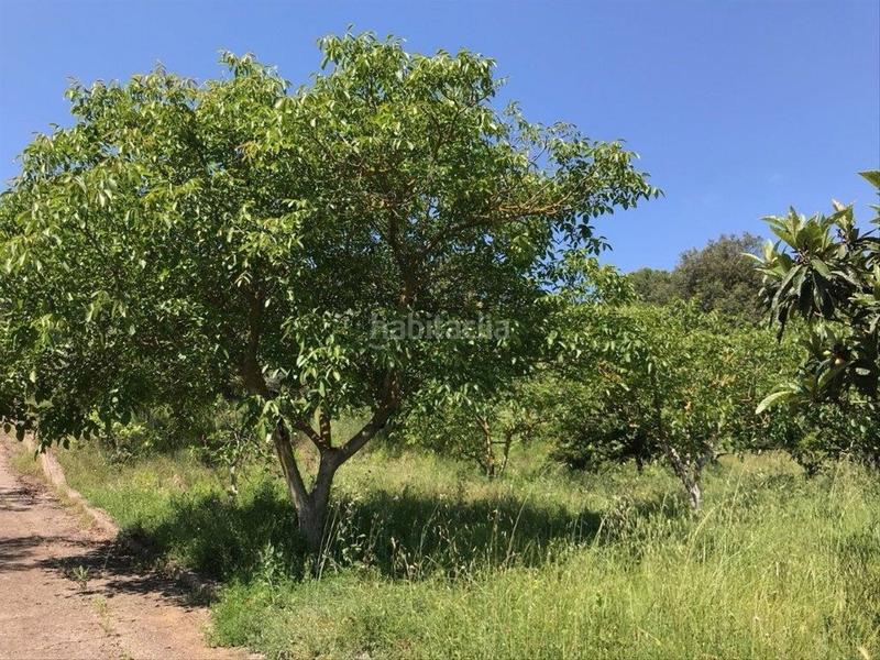 Foto 0c3384cd-06ce-4400-b4ea-00ffc71078f7. Terreno residenziale in Corçà