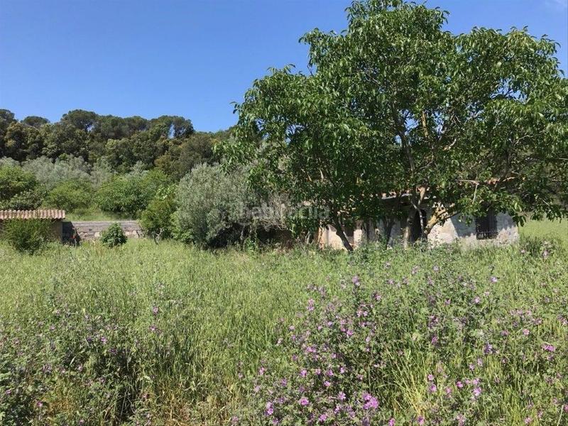 Foto 15b131ca-1aa1-4d4b-b08b-0904af4b1bc2. Terreno residenziale in Corçà