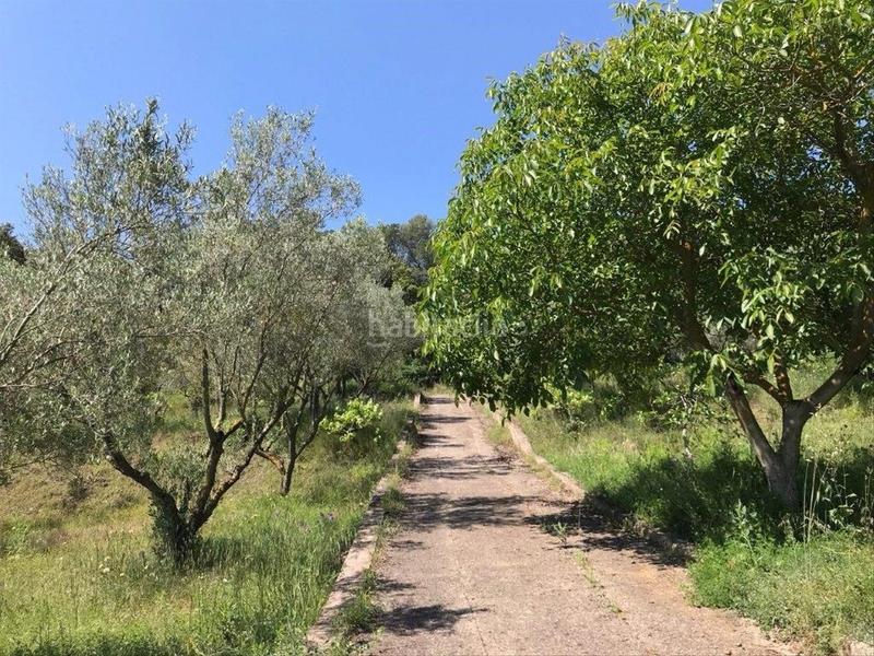 Foto 32687a18-3127-4513-8395-1d26fa079ca8. Terreno residenziale in Corçà