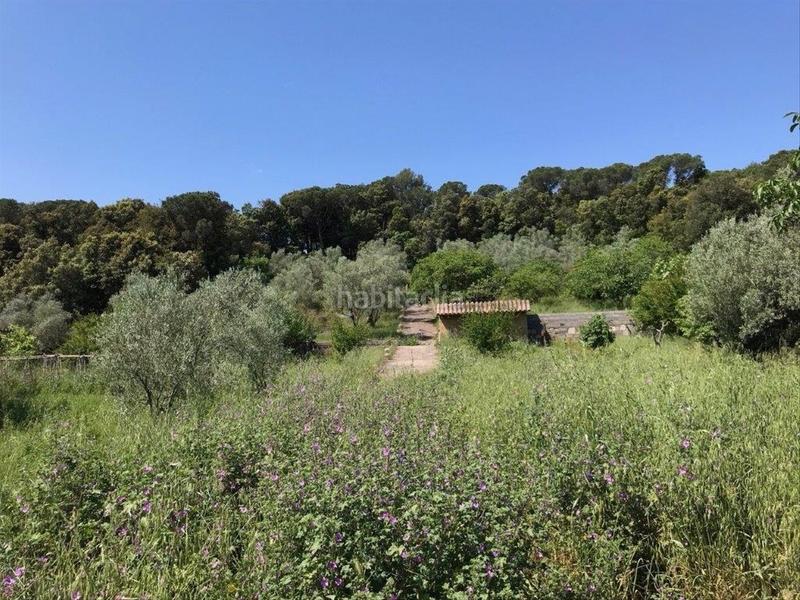 Foto 5efe1f49-678c-44eb-95ca-9cd3e26a3350. Terreno residenziale in Corçà