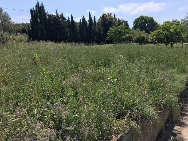 Foto 7e9a69c5-b948-4486-ba3f-7d109712c32e. Terreno residenziale in Corçà