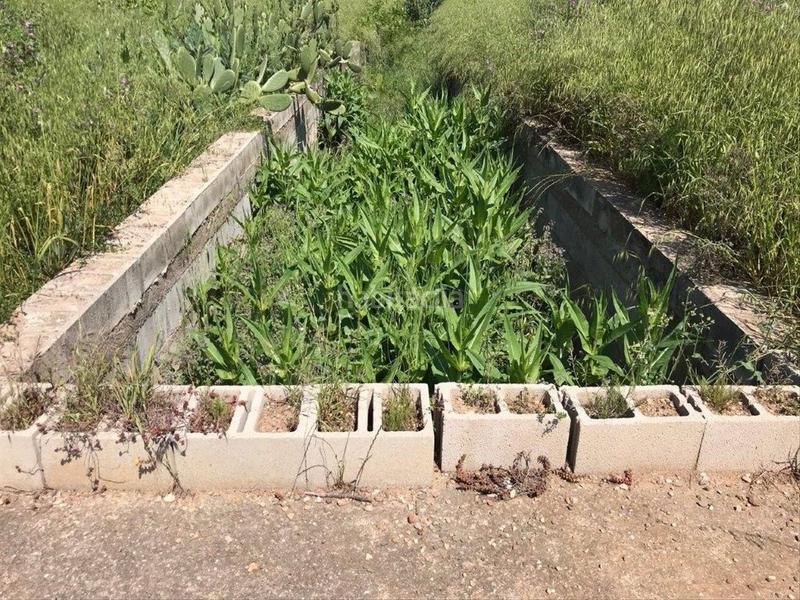 Foto d54186eb-b0b2-43f1-ae2f-4acb531f763e. Terreno residenziale in Corçà