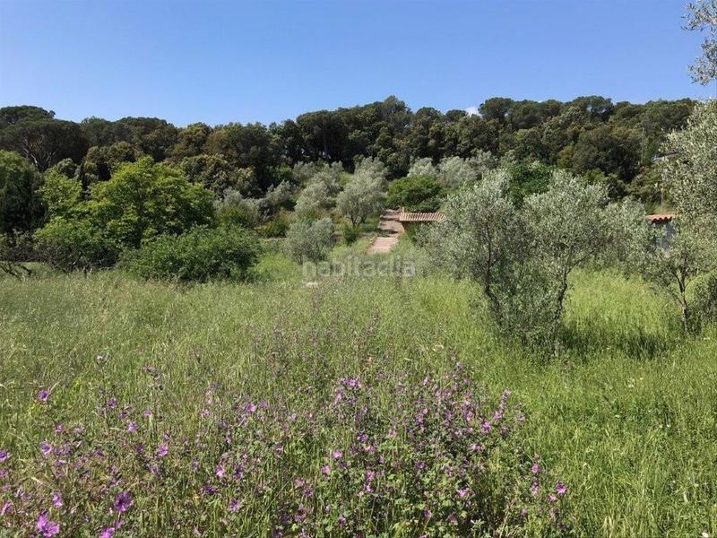 Foto ee4b993d-5c73-4df1-a390-a273470d0c07. Terreno residenziale in Corçà