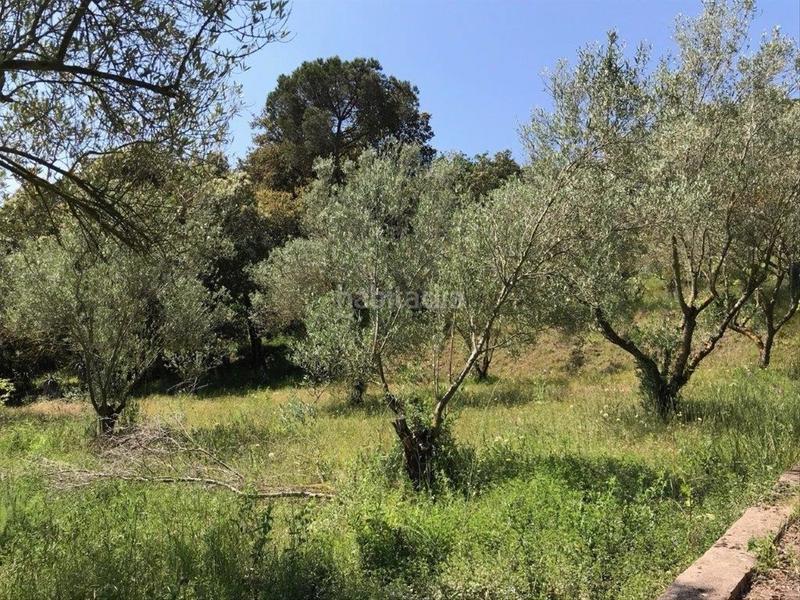 Foto f44cb423-1fc5-496b-8dc6-f78e72eabc95. Terreno residenziale in Corçà