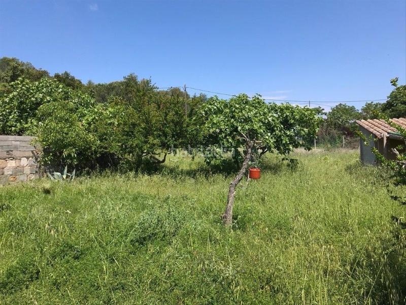 Foto fe5d6d26-7cf8-45e2-951f-67d2aa2272d5. Terreno residenziale in Corçà