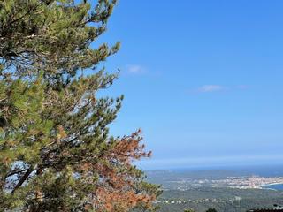 Terreny residencial  Carrer mimoses. Castell-platja d´aro/terreno