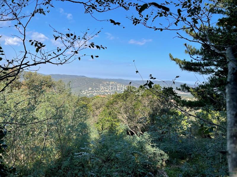 Foto d5eeeccb-4dab-4437-ab7a-558a89e5871d. Terreno residencial castellplatja daroterreno en Urbanitzacions Platja d´Aro