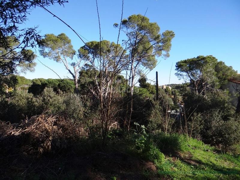Foto b4774ed0-f44b-4b41-83b7-dd5496802573. Terrain résidentiel dans Torre Valentina-Mas Vilar de La Mutxada-Treumal Sant Antoni de Calonge