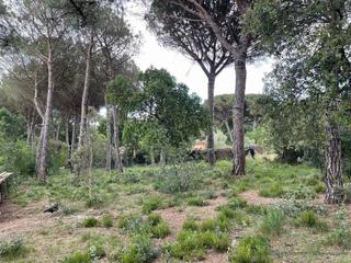 Terreny residencial a Llagostera. Llagostera/terreno