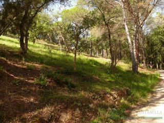 Residential Plot  Urbanizacion can reixac. Santa cristina daroterreno