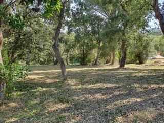 Residential Plot  Santa cristina. Calongeterreno