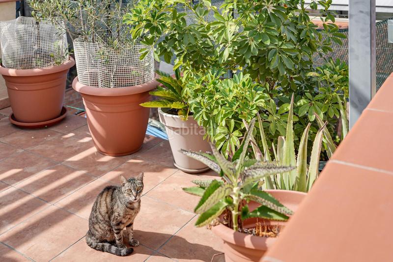 Foto 244d9776-6b74-487c-ab6a-84879cee85de. Casa in Centre-Can Nadal Sant Feliu de Llobregat