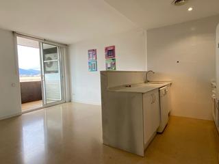 Lloguer Pis  Laurea miró. Laureà miró