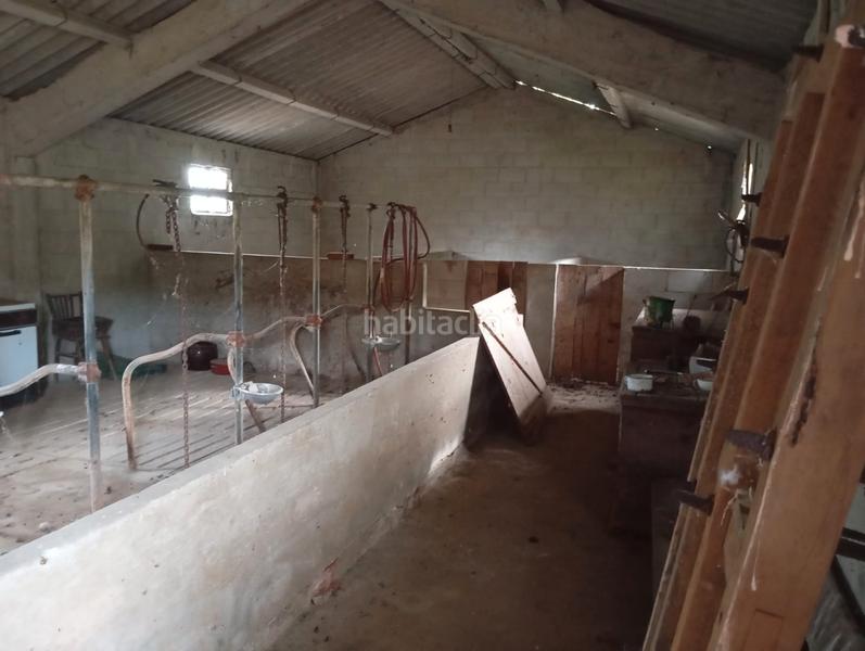 Foto 5c5e9795-83d8-4351-8d4d-4a07f44dd9a2. Casa en muiño seco 10 casa con terreno en Coristanco