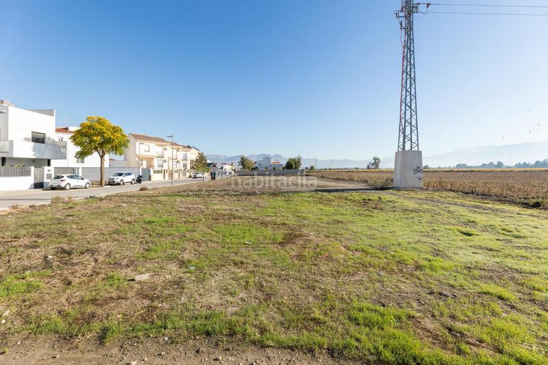 Foto 89ad7d12-8e99-4a49-b8a8-60cd5c964aff. Residential plot in Belicena Vegas del Genil