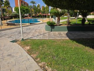 Location Appartement  Avenida comunitat valenciana 7. Piso de 21 dormitorios, 2 baños, parkin y piscina